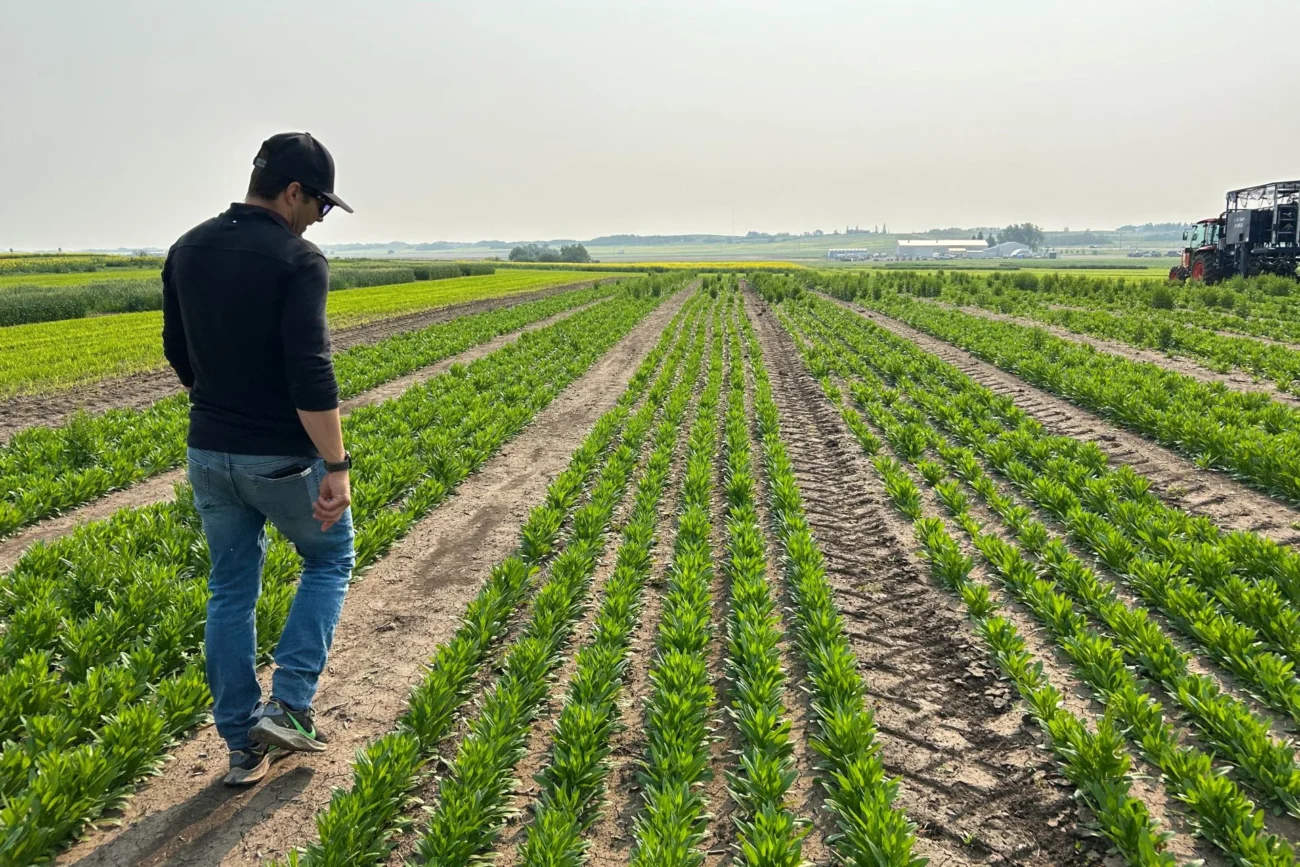 Canadian Farmers Battle Climate Extremes With Innovation and Adaptation