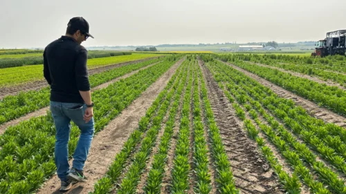 Canadian Farmers Battle Climate Extremes With Innovation and Adaptation
