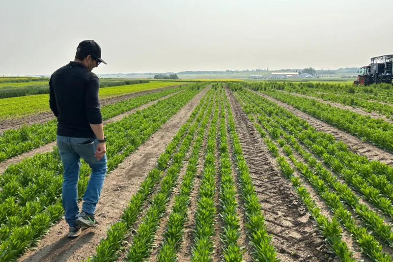 Canadian Farmers Battle Climate Extremes With Innovation and Adaptation