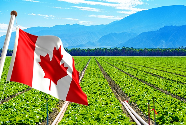 Easy Guide to Applying for Canada’s Agriculture Programs
