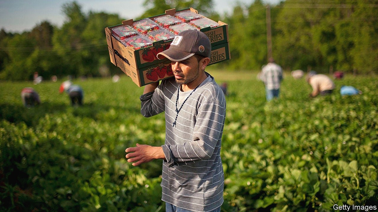 Farm Worker Jobs in Italy