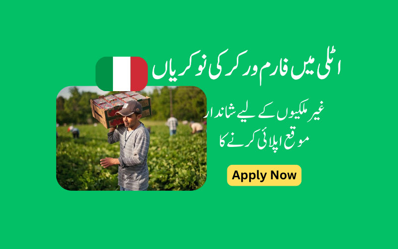 Farm Worker Jobs in Italy: Opportunities, Salaries, and How to Apply