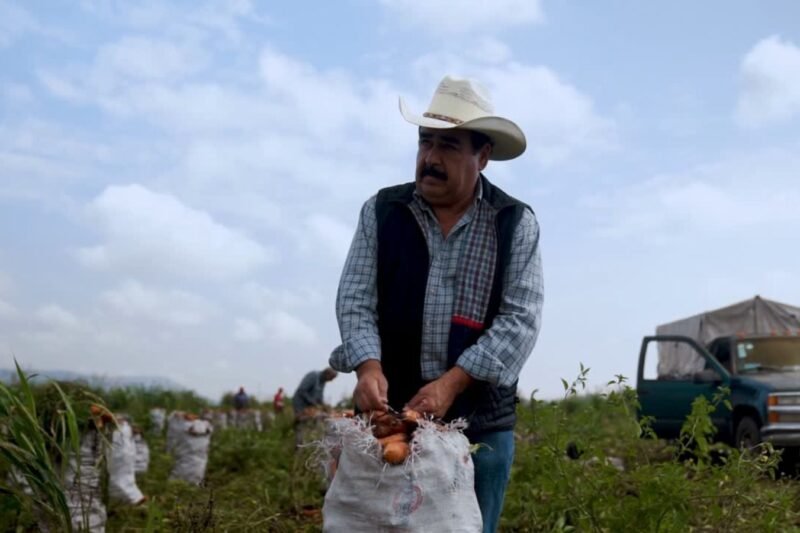 Jobs in Canada’s General Farm Sector: Packing Vegetables and Fruits