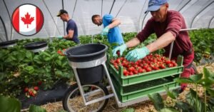 Fruit Farm Worker Jobs in Canada