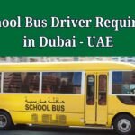 School Bus Driver Required in Dubai - UAE