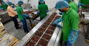 Dates Packing Worker Jobs in Dubai